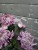 20250925_142122.jpg