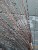 20251118_094420.jpg