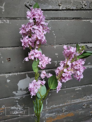 20260128_092908.jpg