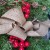 wianekświątecznyduży3.jpg