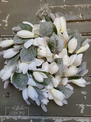wianek_magnolia.jpg