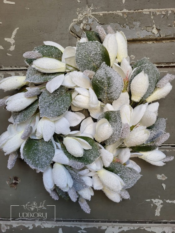wianek_magnolia.jpg