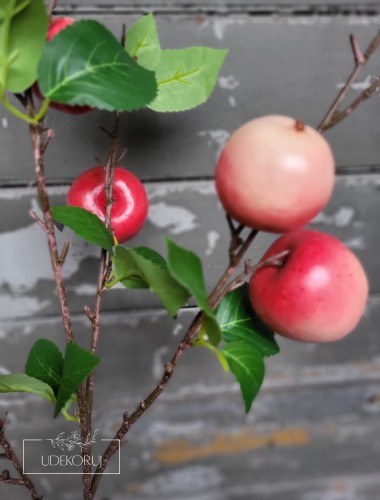 20250227_145302.jpg